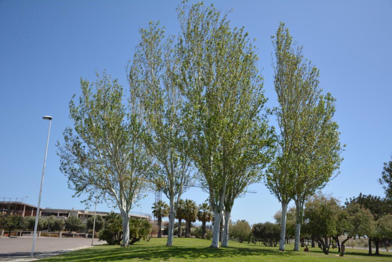 Giardini E Mare Bed & Breakfast Quartu Sant'Elena Luaran gambar